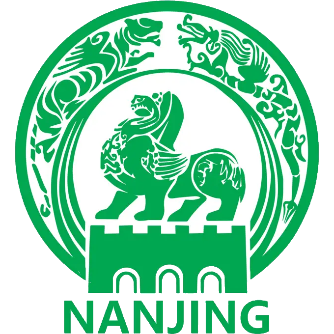 南京队